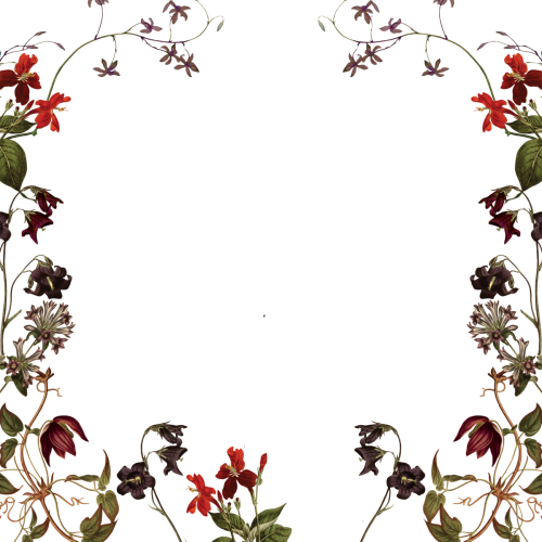 design-new duplicate