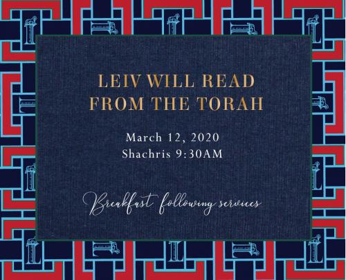 torah-insert